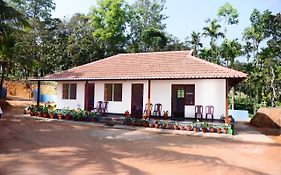 Bluemoon Homestay - Near To Falls & Trekking